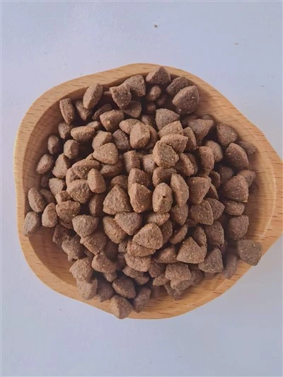 Cat Food For Pet
